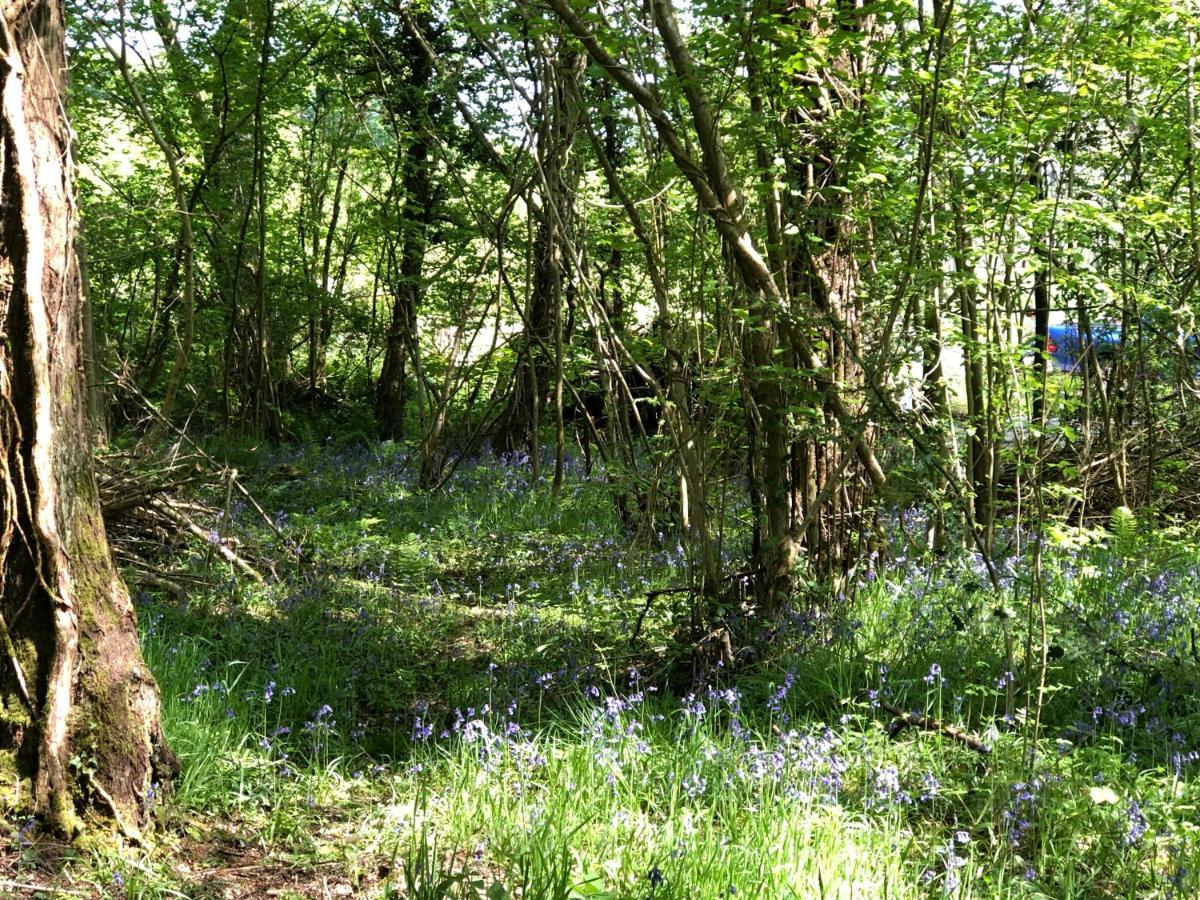 Coed Y Marchog Woodland Retreat Vila Hereford Exterior foto